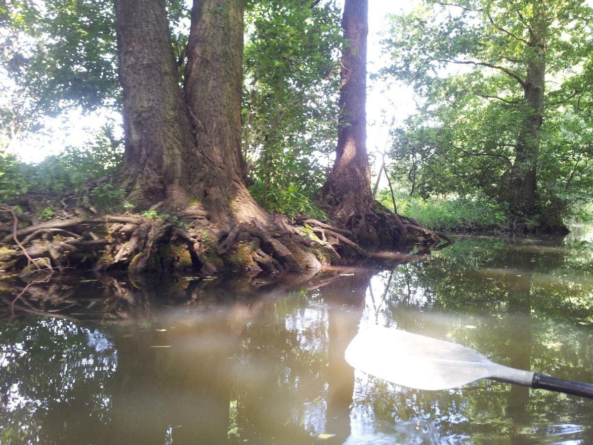 Doppelzimmer Im Spreewald Burg  Extérieur photo